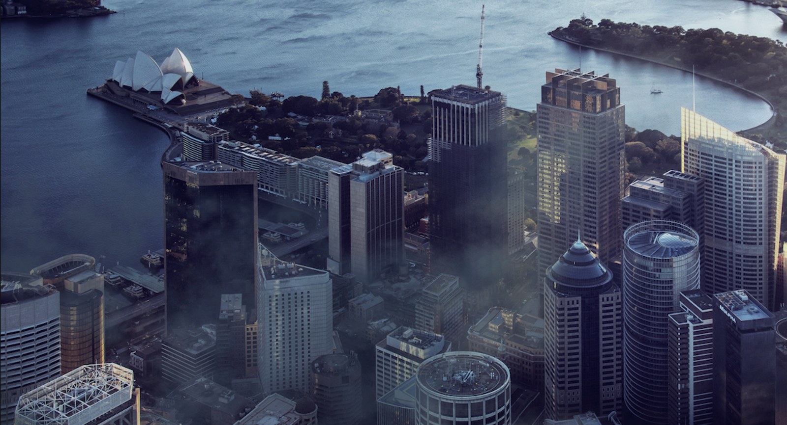 Sydney harbour at first light